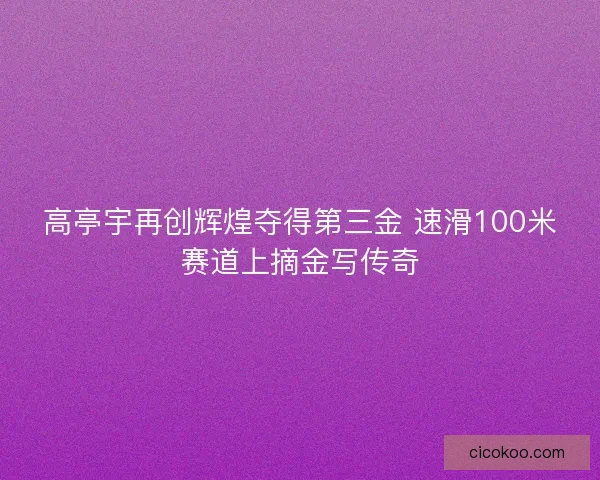高亭宇再创辉煌夺得第三金 速滑100米赛道上摘金写传奇